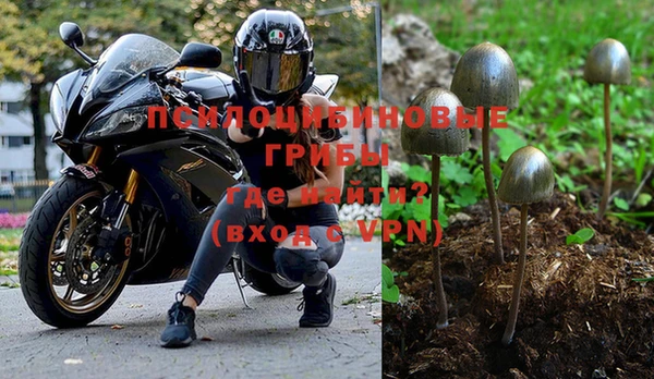 шишки Алексин