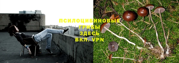ешки Алексеевка