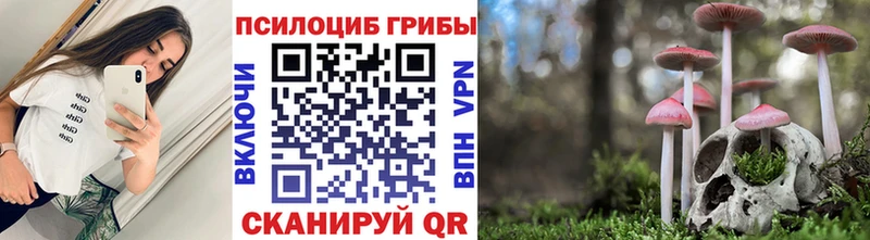 где продают наркотики  Якутск  Псилоцибиновые грибы Cubensis 