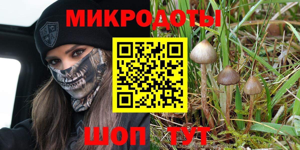 где можно купить   Вход с VPN  Якутск  Псилоцибиновые грибы GOLDEN TEACHER  Галлюциногенные грибы Cubensis 