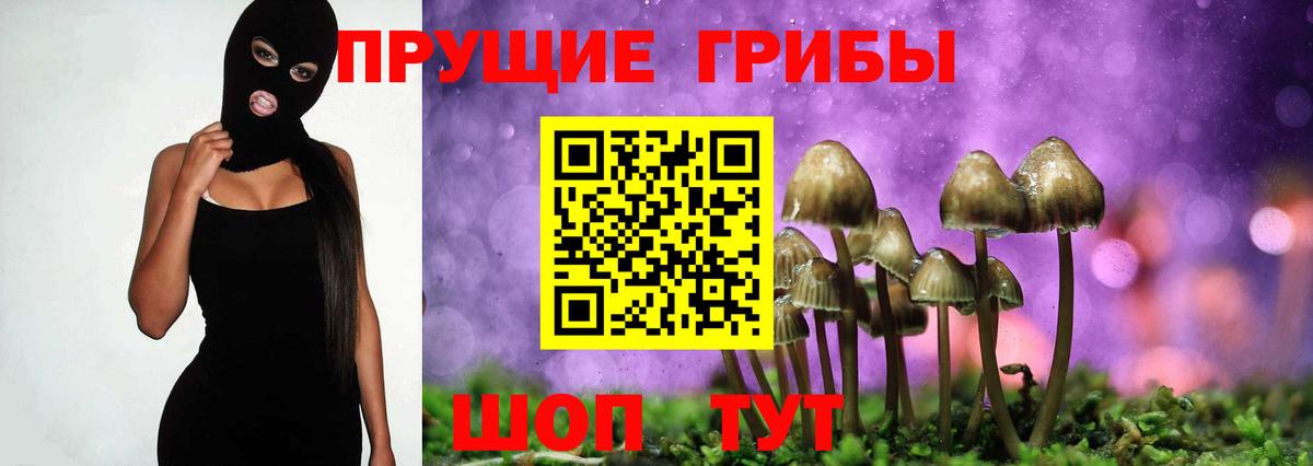 Псилоцибиновые грибы GOLDEN TEACHER Якутск